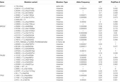 Characteristics of Germline Non-BRCA Mutation Status of High-Risk Breast Cancer Patients in China and Correlation with High-Risk Factors and Multigene Testing Suggestions